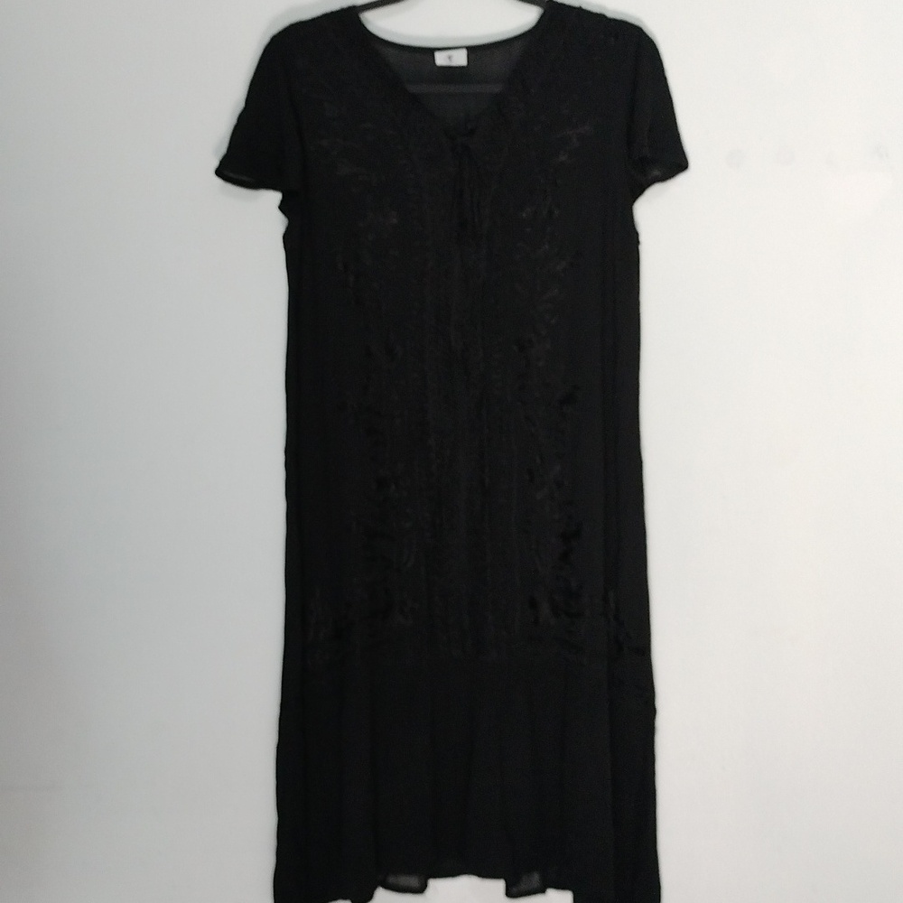 Asha sheer dress